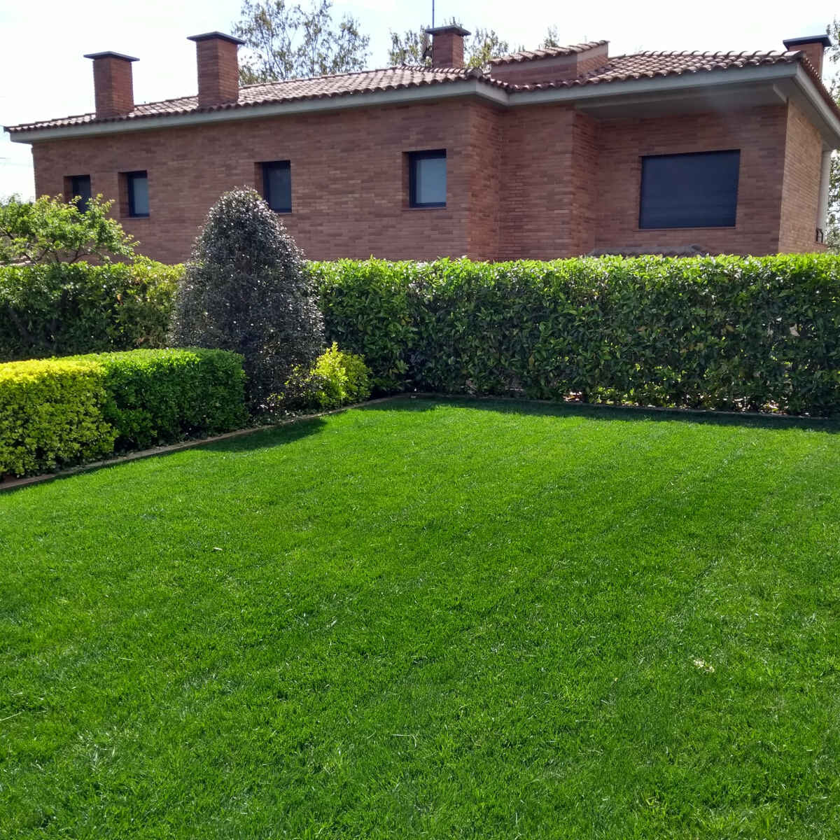 cropped-mantenimiento_jardines_home.jpg
